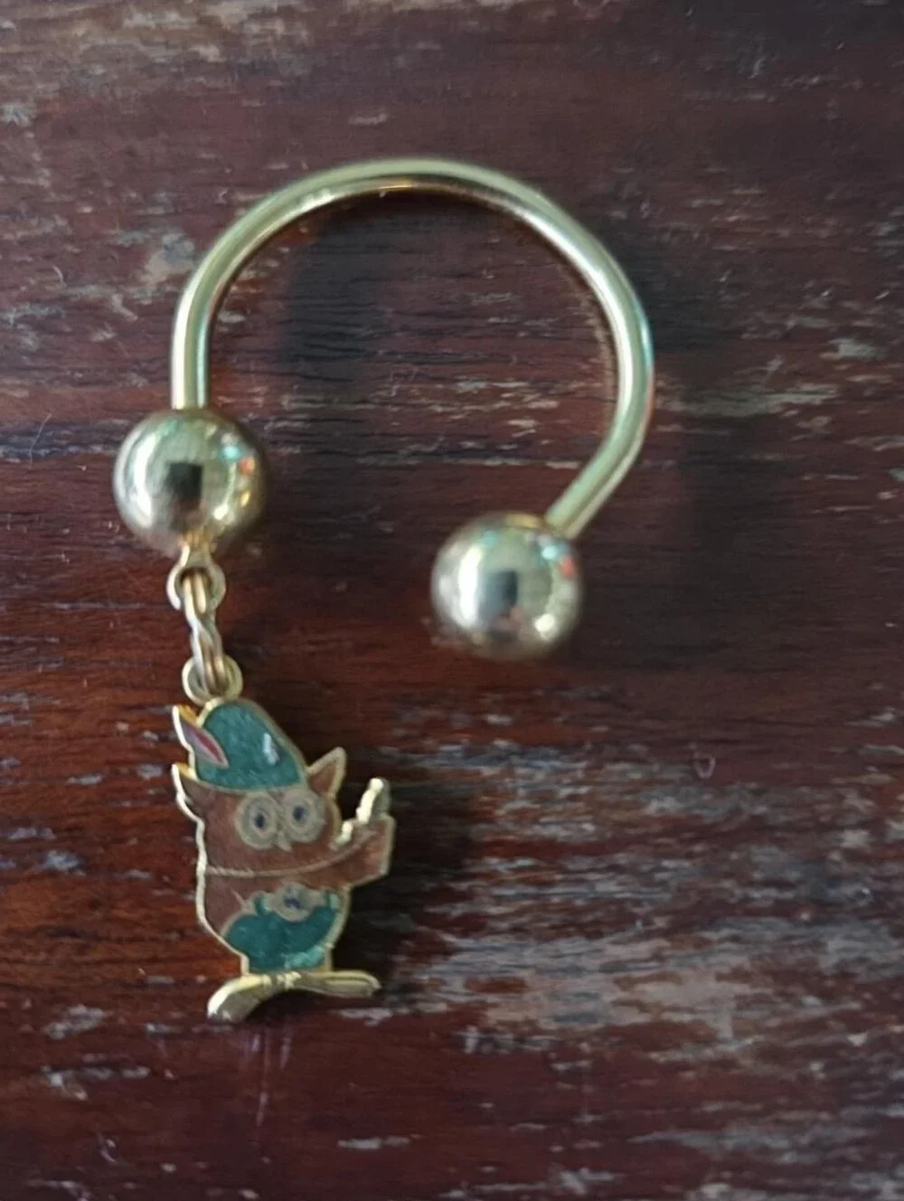 Vintage 1970s Woodsy Owl Enamel Horseshoe Screwball Key Ring NOS Vintage Gift